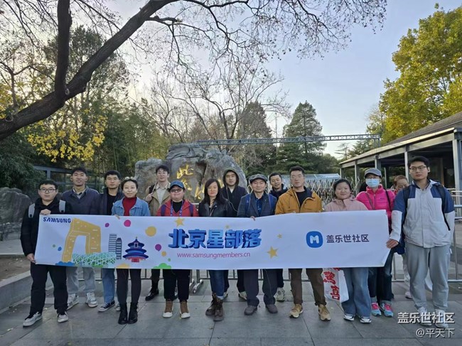 【紫竹院】落葉與風(fēng)的繪畫