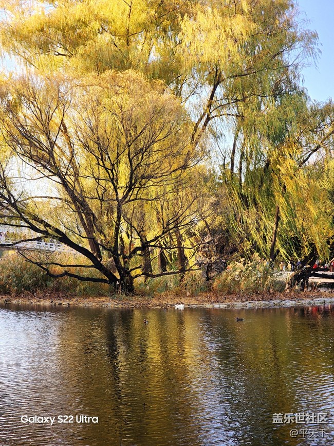 【紫竹院】落葉與風(fēng)的繪畫