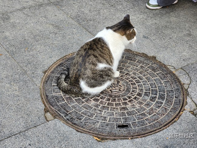 【紫竹院】落葉與風(fēng)的繪畫