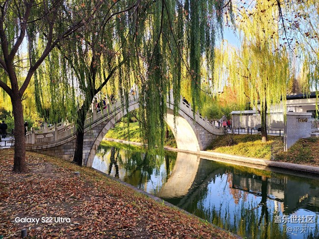 【紫竹院】落葉與風(fēng)的繪畫