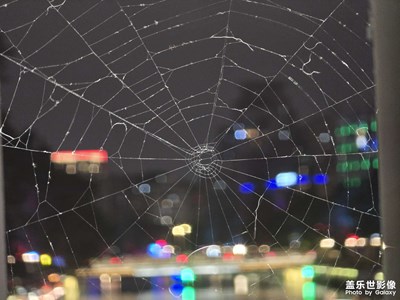 【見微知著】結(jié)網(wǎng)