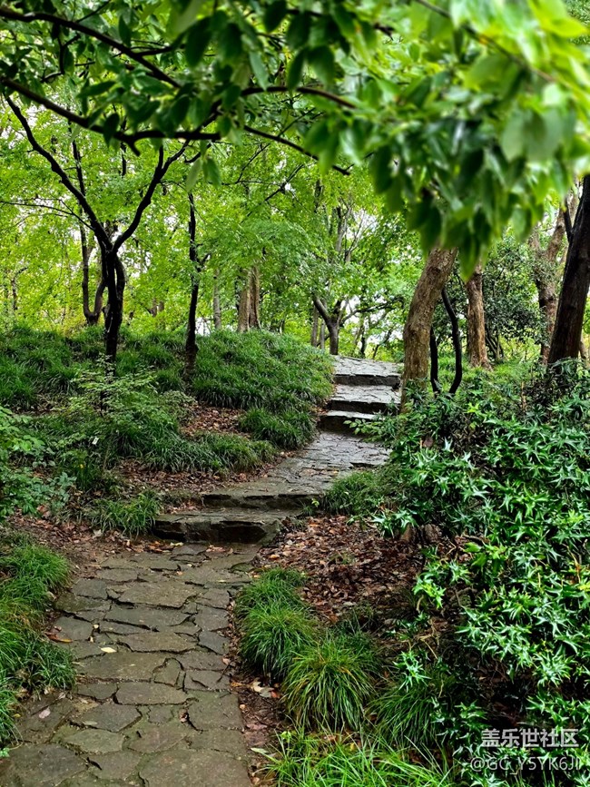 #秋天的道路——下雨天