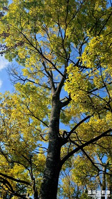 【身邊的風(fēng)景】+美就在身邊