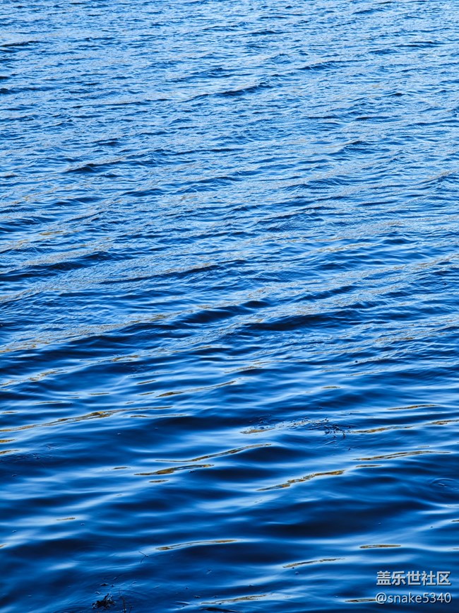 渾河下午茶攝影/回顧