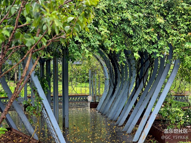 #秋天的道路——下雨天