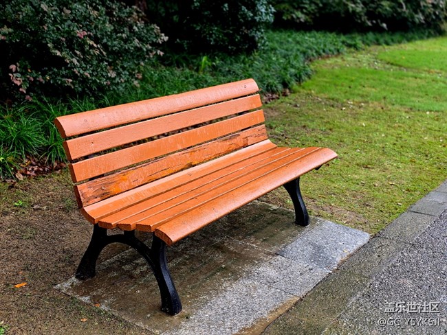 #秋天的道路——下雨天