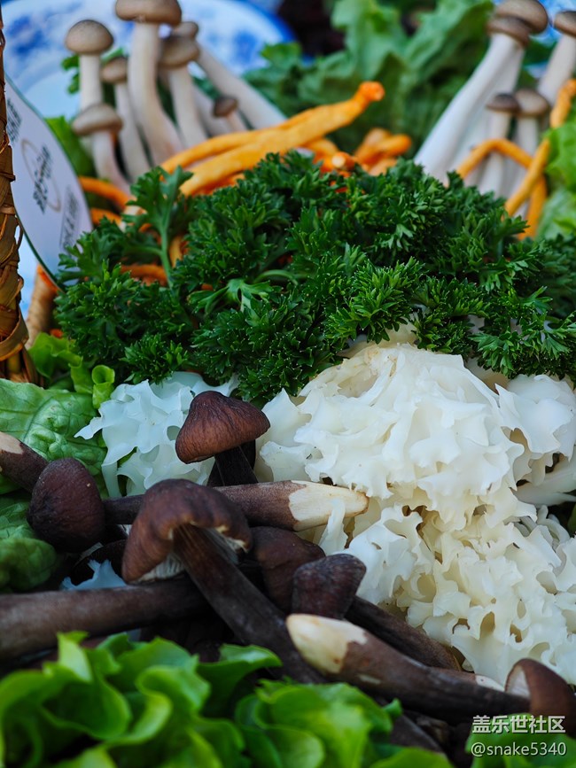 渾河下午茶攝影/回顧