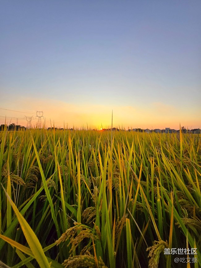 AI賦能，影像全面提升的小魔盒-Galaxy Z Flip6體驗