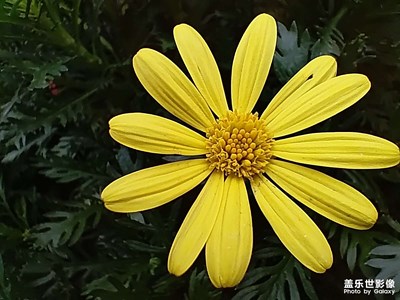 【見微知著 】+秋天的顏色