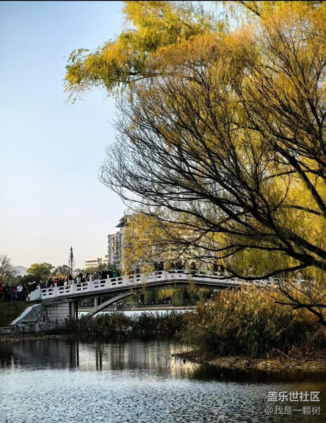 【紫竹院】+用三星手機抓住北京的秋