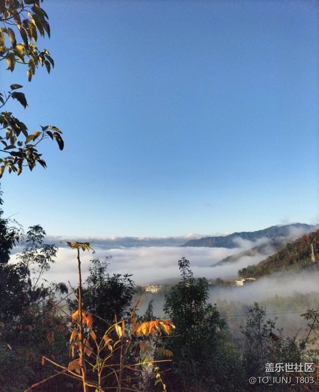 【秋意濃】清晨