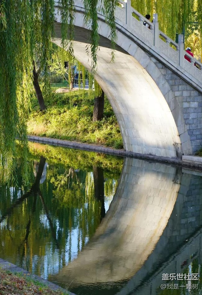 【紫竹院】+用三星手機抓住北京的秋