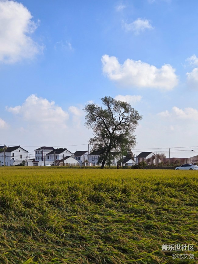 AI賦能，影像全面提升的小魔盒-Galaxy Z Flip6體驗