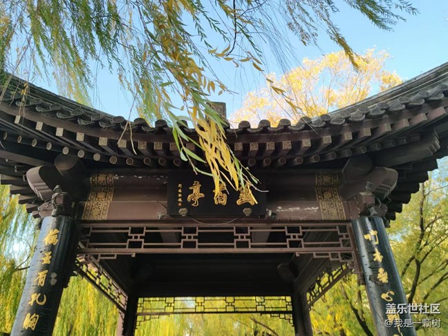 【紫竹院】+用三星手機抓住北京的秋