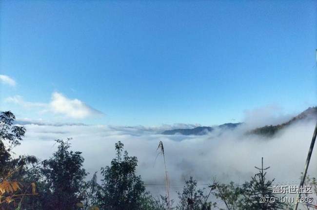 【秋意濃】清晨