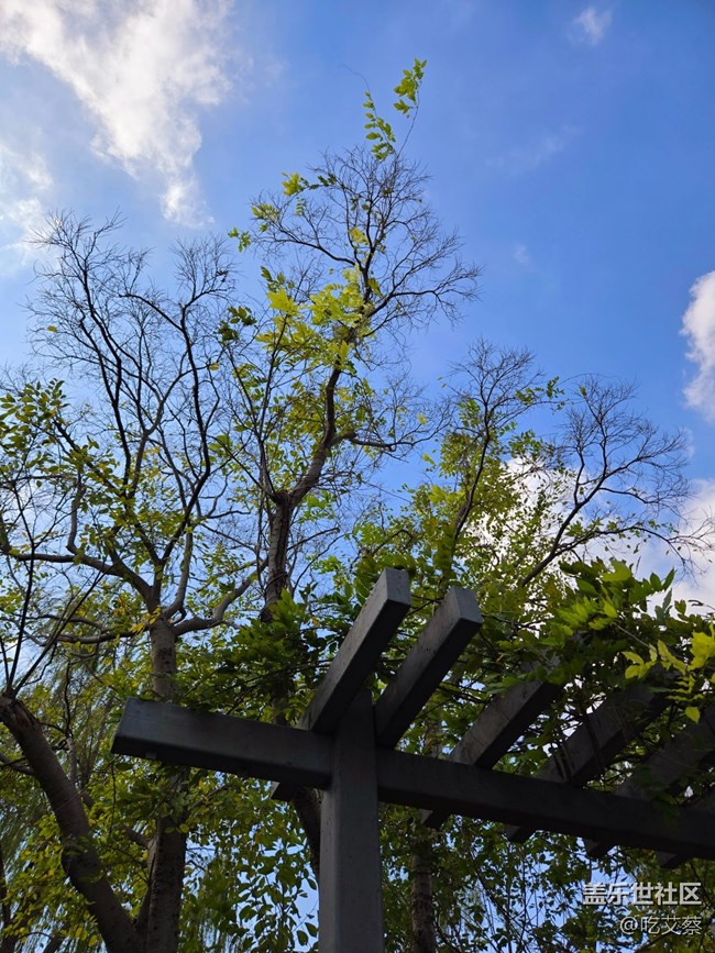 AI賦能，影像全面提升的小魔盒-Galaxy Z Flip6體驗