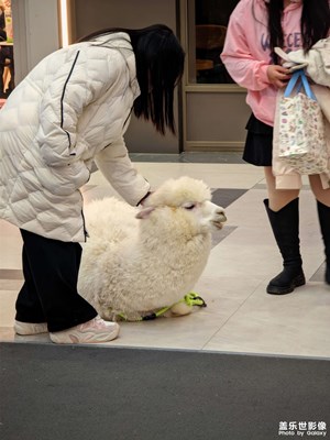 【身邊的風(fēng)景】+ 初冬周末閑逛