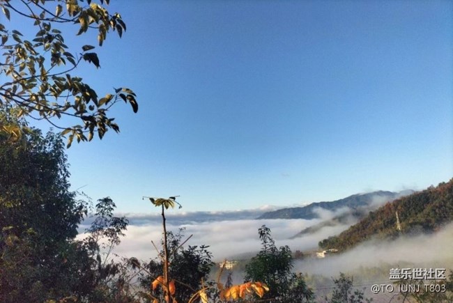 【秋意濃】清晨