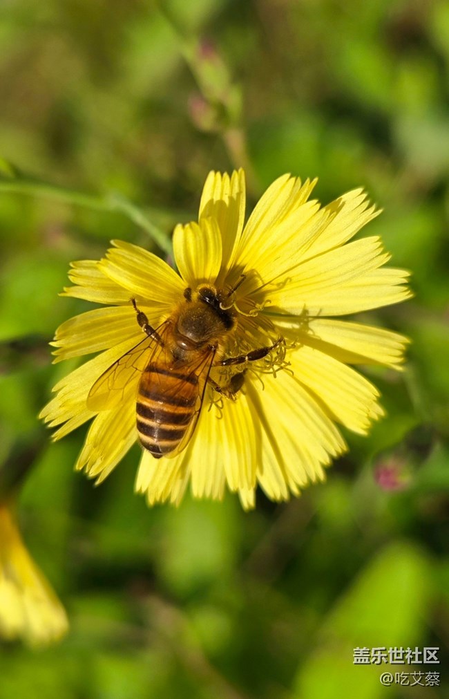 AI賦能，影像全面提升的小魔盒-Galaxy Z Flip6體驗