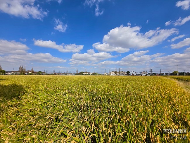 AI賦能，影像全面提升的小魔盒-Galaxy Z Flip6體驗