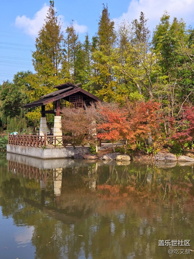 AI賦能，影像全面提升的小魔盒-Galaxy Z Flip6體驗