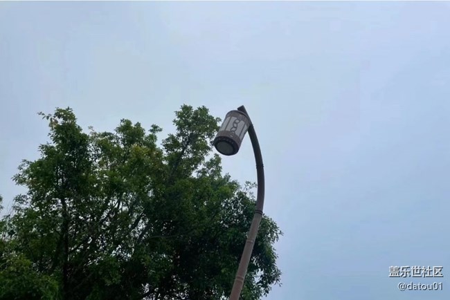 【秋意濃】記錄美景