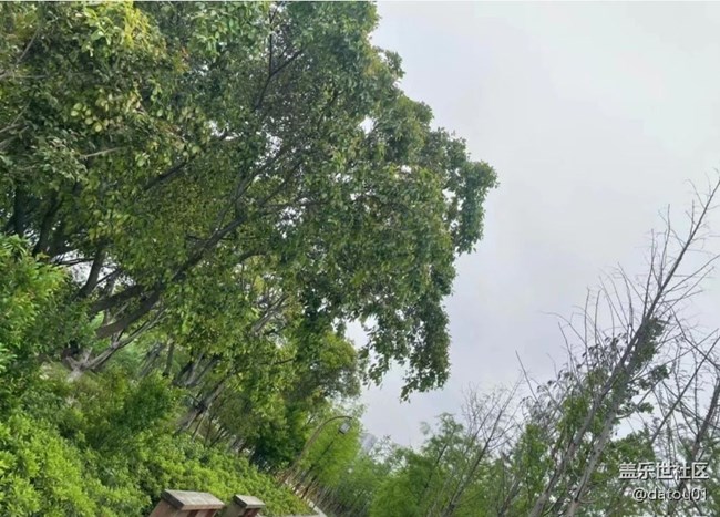 【秋意濃】記錄美景