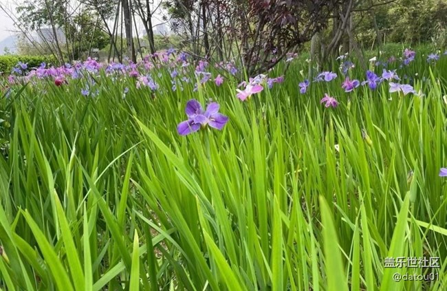 【秋意濃】記錄美景