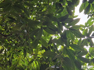 【身邊的風(fēng)景】+?看看風(fēng)景