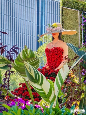 【身邊的風(fēng)景】+花美人