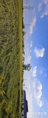 【斑斕蕭瑟】+ 豐收季