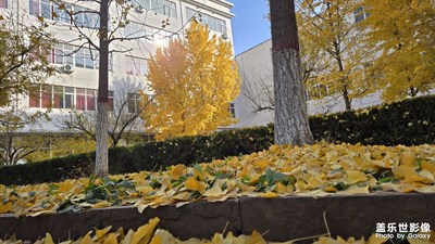 【見(jiàn)微知著】 校園一角