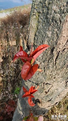 【見微知著】
漸入冬境