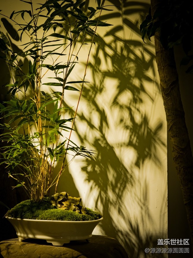 【AI在花鳥間】 武漢星部落線下活動(dòng)總結(jié)貼