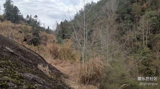 【秋暮冬初】巡山