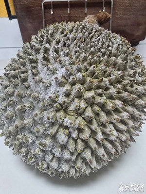 【斑斕蕭瑟】+?秋冬風(fēng)光