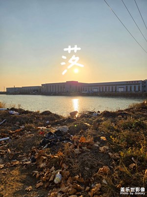 【斑斕蕭瑟】 斑斕秋日