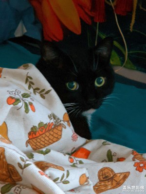 要喝茶，要躺平，也要生活。