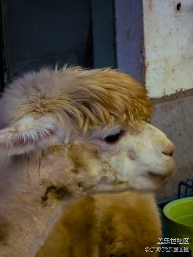 【AI在花鳥間】 武漢星部落線下活動(dòng)總結(jié)貼