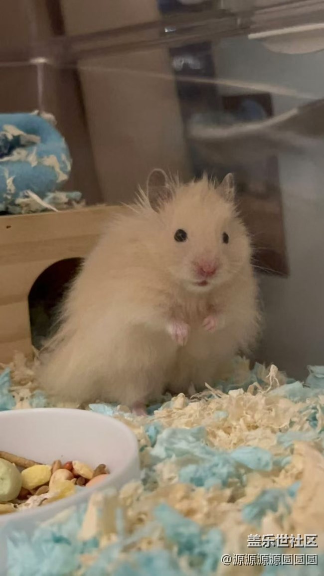 【AI在花鳥間】 武漢星部落線下活動(dòng)總結(jié)貼