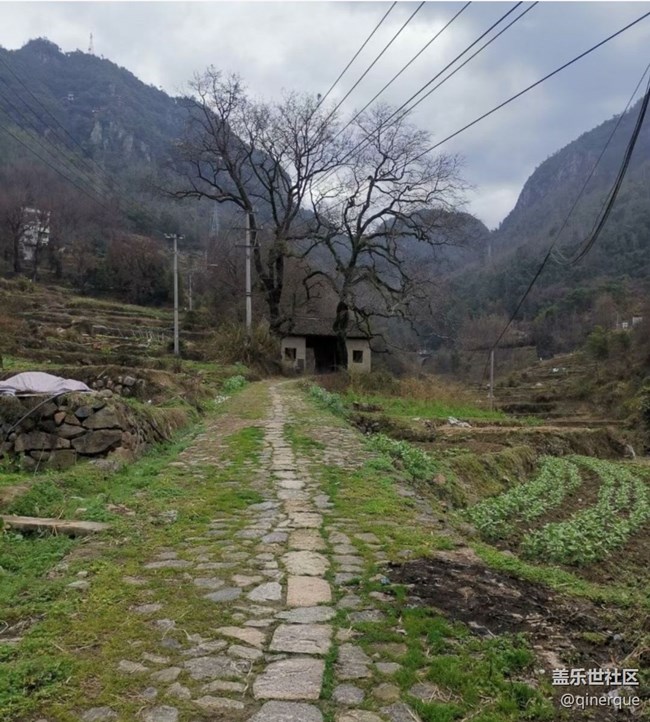 【秋暮冬初】巡山