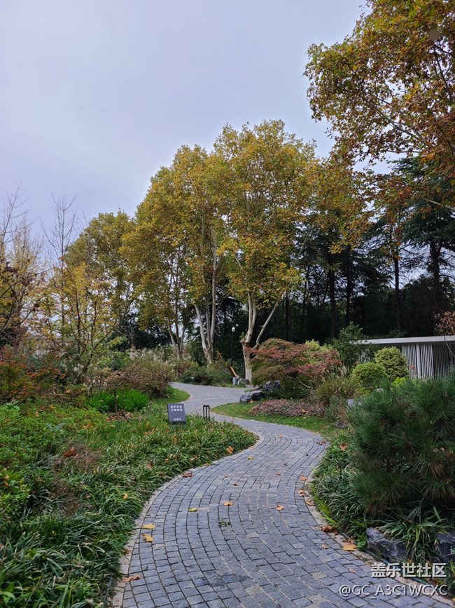 【秋意濃】+濃濃秋意