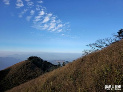 【斑瀾蕭瑟】越過山秋