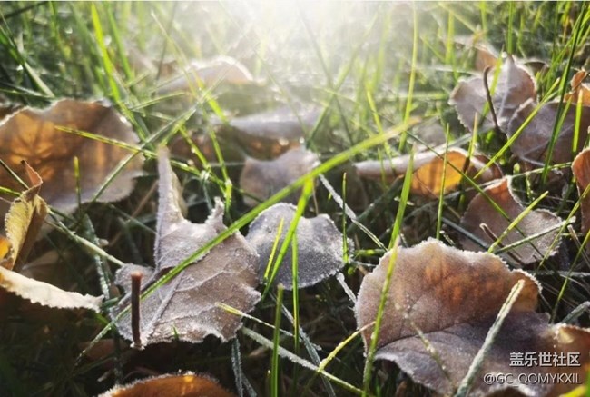 【秋意濃】清晨