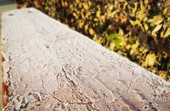 【秋意濃】清晨