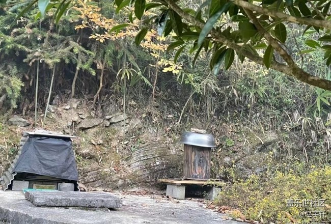 【秋暮冬初】一天四季