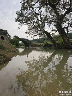 【斑瀾蕭瑟】打開秋冬的相冊