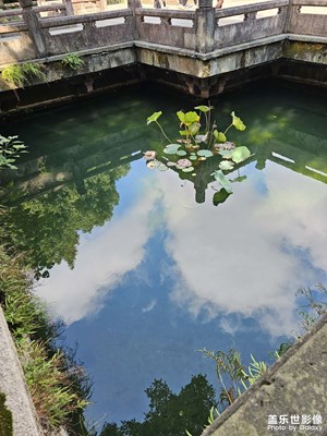 【斑斕蕭瑟】+ 園林美景