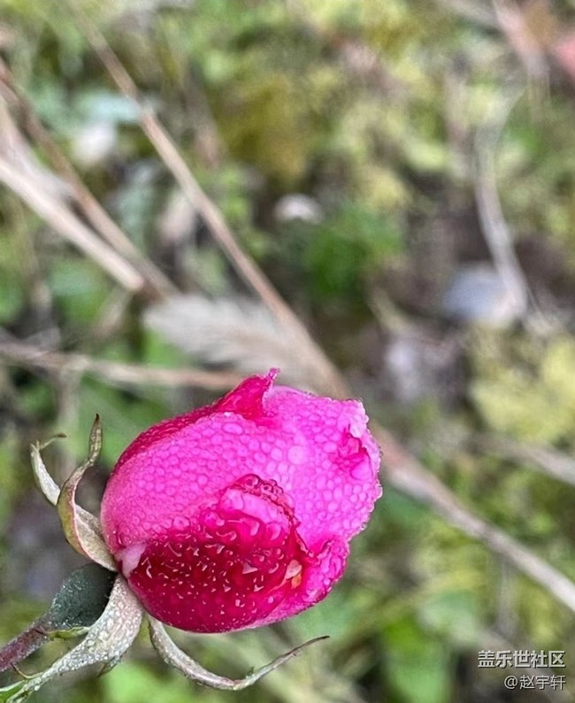 【秋暮冬初】一天四季