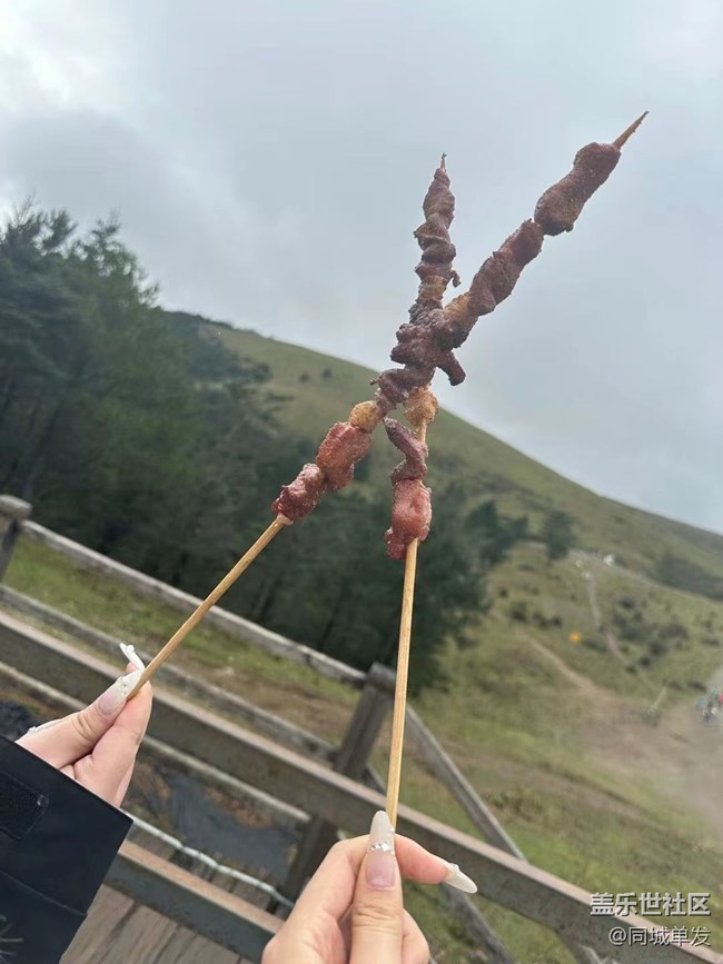 【秋暮冬初】勇闖天涯之玉龍雪山